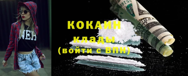 тгк Бородино