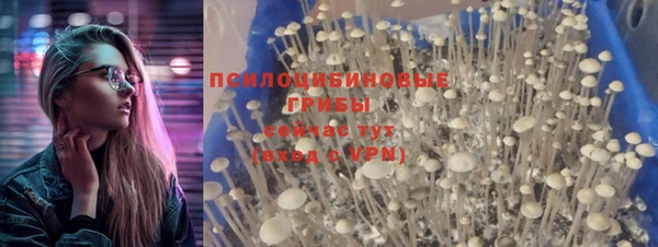 тгк Бугульма