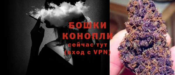 индика Остров
