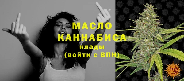 тгк Бородино